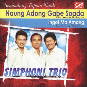 Download Lagu Simphoni Trio - Bunga Ni Holong MP3 Download Lagu Simphoni Trio - Bunga Ni Holong MP3
