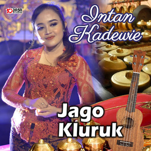 Download Lagu Intan Kadewie - Jago Kluruk MP3 Download Lagu Intan Kadewie - Jago Kluruk MP3