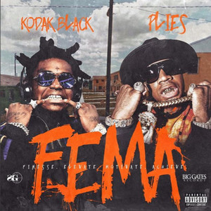 Download Lagu Kodak Black, Plies - Heart Mind MP3 Download Lagu Kodak Black, Plies - Heart Mind MP3