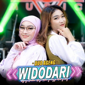 Download Lagu Duo Ageng - Widodari MP3