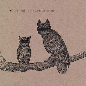 Download Lagu Neil Halstead - Digging Shelters MP3