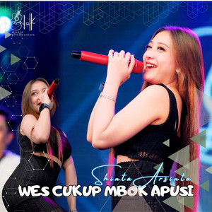 Download Lagu Shinta Arsinta - Wes Cukup Mbok Apusi MP3