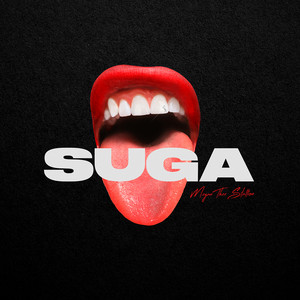 Download Lagu Megan Thee Stallion - Captain Hook MP3