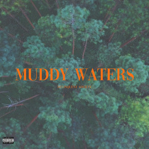 Download Lagu Delinquent Society - Muddy Waters MP3