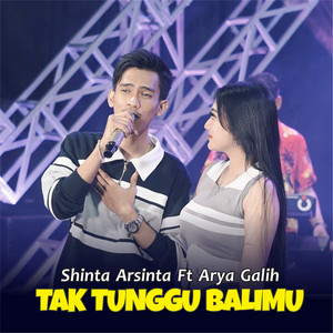 Download Lagu Shinta Arsinta, Arya Galih - Tak Tunggu Balimu MP3