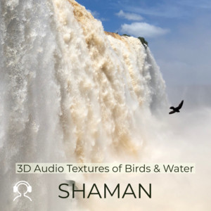 Download Lagu Shaman - Close to the River, Birds Watching MP3 Download Lagu Shaman - Close to the River, Birds Watching MP3