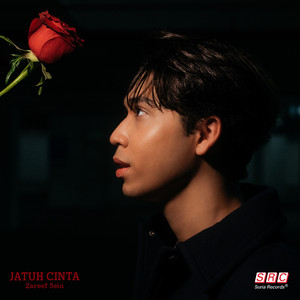 Download Lagu Zareef Sein - Jatuh Cinta MP3