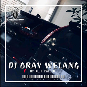 Download Lagu Alif Palsuu - DJ ORAY WELANG MP3
