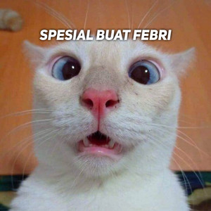 Download Lagu Dj Febrii Saragih - DJ SLOW DIMANA KAMU KESAYANGAN NYA AKU MP3