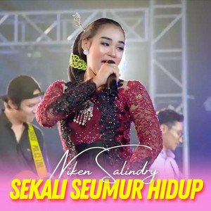 Download Lagu Niken Salindry - Sekali Seumur Hidup MP3 Download Lagu Niken Salindry - Sekali Seumur Hidup MP3
