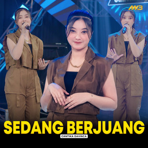 Download Lagu Cantika Davinca - Sedang Berjuang MP3 Download Lagu Cantika Davinca - Sedang Berjuang MP3