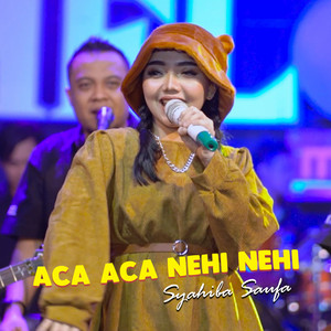 Download Lagu Syahiba Saufa - Aca Aca Nehi Nehi MP3