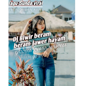 Download Lagu DJ NWP - Dj Biwir Berem Berem Jawer Hayam - Runtah MP3