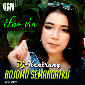 Download Lagu Falen Finola - Dj Kentrung Bojomu Semangatku MP3 Download Lagu Falen Finola - Dj Kentrung Bojomu Semangatku MP3