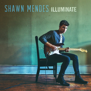 Download Lagu Shawn Mendes - Bad Reputation MP3