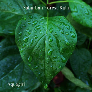 Download Lagu Aquagirl - Suburban Forest Rain 1 MP3 Download Lagu Aquagirl - Suburban Forest Rain 1 MP3