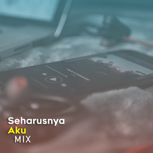 Download Lagu DJ Andies - Seharusnya Aku - Remix MP3