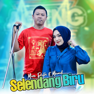 Download Lagu Mira Putri, Ageng Music, Mamok - Selendang Biru MP3