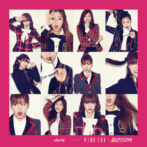 Download Lagu Apink - Mr. Chu MP3