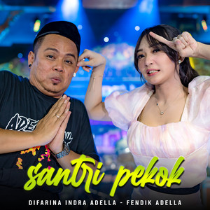 Download Lagu Difarina Indra Adella, Fendik Adella - Santri Pekok MP3 Download Lagu Difarina Indra Adella, Fendik Adella - Santri Pekok MP3
