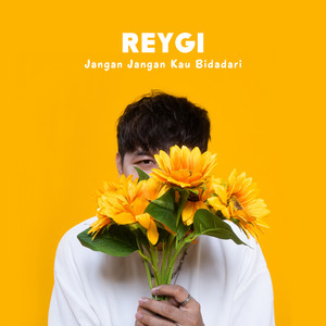 Download Lagu Reygi - Jangan Jangan Kau Bidadari MP3