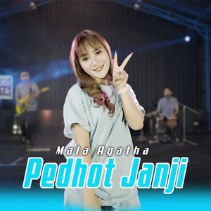 Download Lagu Mala Agatha - Pedhot Janji MP3 Download Lagu Mala Agatha - Pedhot Janji MP3