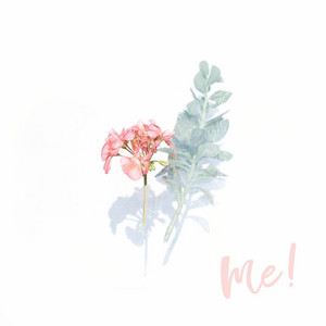 Download Lagu Tyler Ward, Karis - ME! - Acoustic MP3 Download Lagu Tyler Ward, Karis - ME! - Acoustic MP3