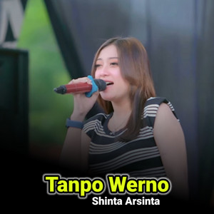 Download Lagu Shinta Arsinta - Tanpo Werno MP3 Download Lagu Shinta Arsinta - Tanpo Werno MP3