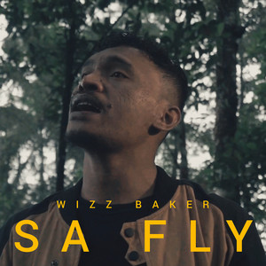 Download Lagu Wizz Baker - Sa Fly MP3