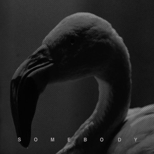 Download Lagu Hurts - Somebody MP3 Download Lagu Hurts - Somebody MP3