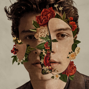 Download Lagu Shawn Mendes - Why MP3