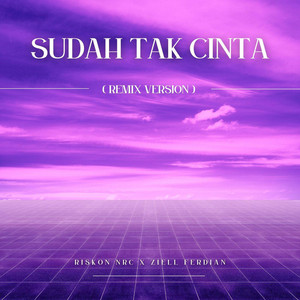 Download Lagu Riskon NRC, Ziell Ferdian - Sudah Tak Cinta - Remix MP3