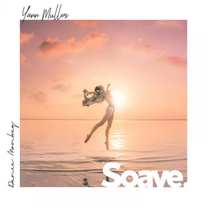 Download Lagu Yann Muller - Dance Monkey MP3