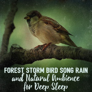Download Lagu Nature Sounds - Feathers in Flight MP3 Download Lagu Nature Sounds - Feathers in Flight MP3