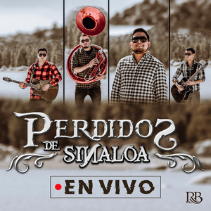 Download Lagu Perdidos De Sinaloa - Carta Abierta - En Vivo MP3 Download Lagu Perdidos De Sinaloa - Carta Abierta - En Vivo MP3