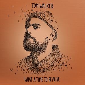 Download Lagu Tom Walker - Better Half of Me MP3 Download Lagu Tom Walker - Better Half of Me MP3