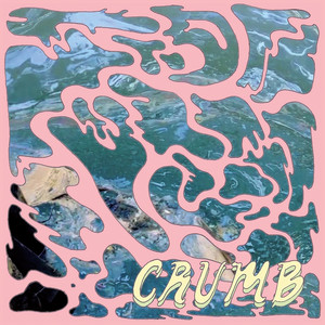 Download Lagu Crumb - Bones MP3 Download Lagu Crumb - Bones MP3