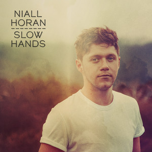 Download Lagu Niall Horan - Slow Hands MP3 Download Lagu Niall Horan - Slow Hands MP3