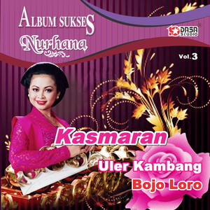 Download Lagu Nurhana - Bojo Loro MP3
