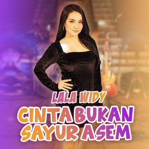 Download Lagu Lala Widy - Cinta Bukan Sayur Asem MP3