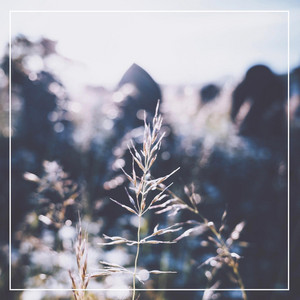 Download Lagu Kina Grannis - Love Anyway MP3 Download Lagu Kina Grannis - Love Anyway MP3