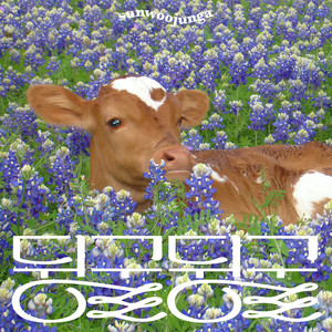 Download Lagu sunwoojunga - Spring Attitude MP3 Download Lagu sunwoojunga - Spring Attitude MP3