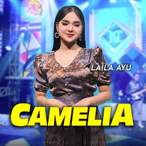 Download Lagu Laila Ayu - Camelia MP3 Download Lagu Laila Ayu - Camelia MP3