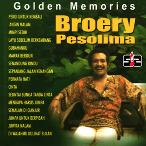 Download Lagu Broery Pesulima - Di Wajah Mu Ku Lihat Bulan MP3