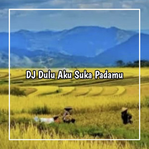 Download Lagu Mine Fvnky - DJ ASU LAMA SUKA DIA STYLE HANTAKAN MP3