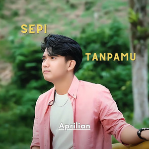 Download Lagu Aprilian - Sepi Tanpamu MP3