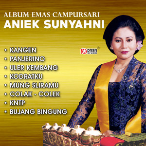Download Lagu Aniek Sunyahni - Panjerino MP3 Download Lagu Aniek Sunyahni - Panjerino MP3