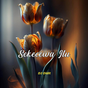 Download Lagu Angga Candra, DJ Didit - Sekecewa Itu - Remix MP3 Download Lagu Angga Candra, DJ Didit - Sekecewa Itu - Remix MP3