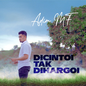 Download Lagu Adim MF - Dicintoi Tak Diharagoi MP3