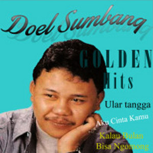 Download Lagu Doel Sumbang - Aku Tidak Sinting MP3